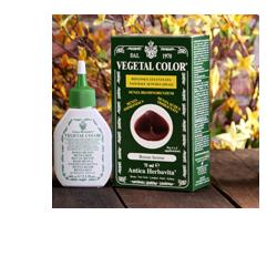 Antica Erboristeria Vegetal Color Shampoo Colorante Senza Ammoniaca Colore Castano Rame 60ml