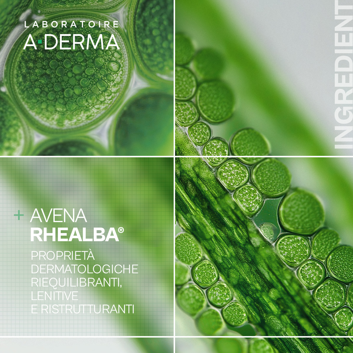 A-DERMA EXOMEGA CONTROL OLIO LAVANTE EMOLLIENTE ANTI-GRATTAGE 200 ml