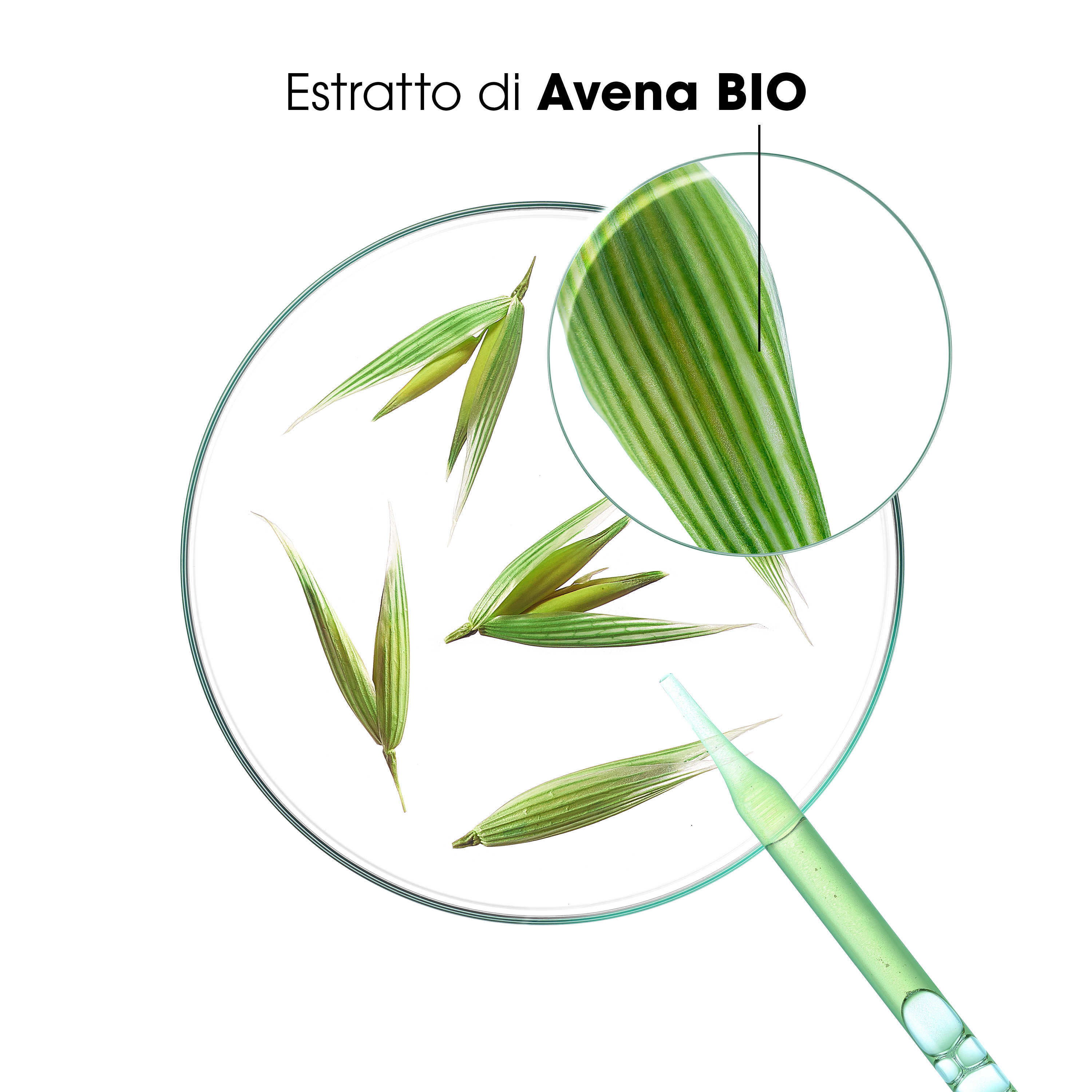 Klorane - Shampoo Secco Extra-Delicato All'Avena & Ceramide Per Capelli Scuri Spray 150 ml