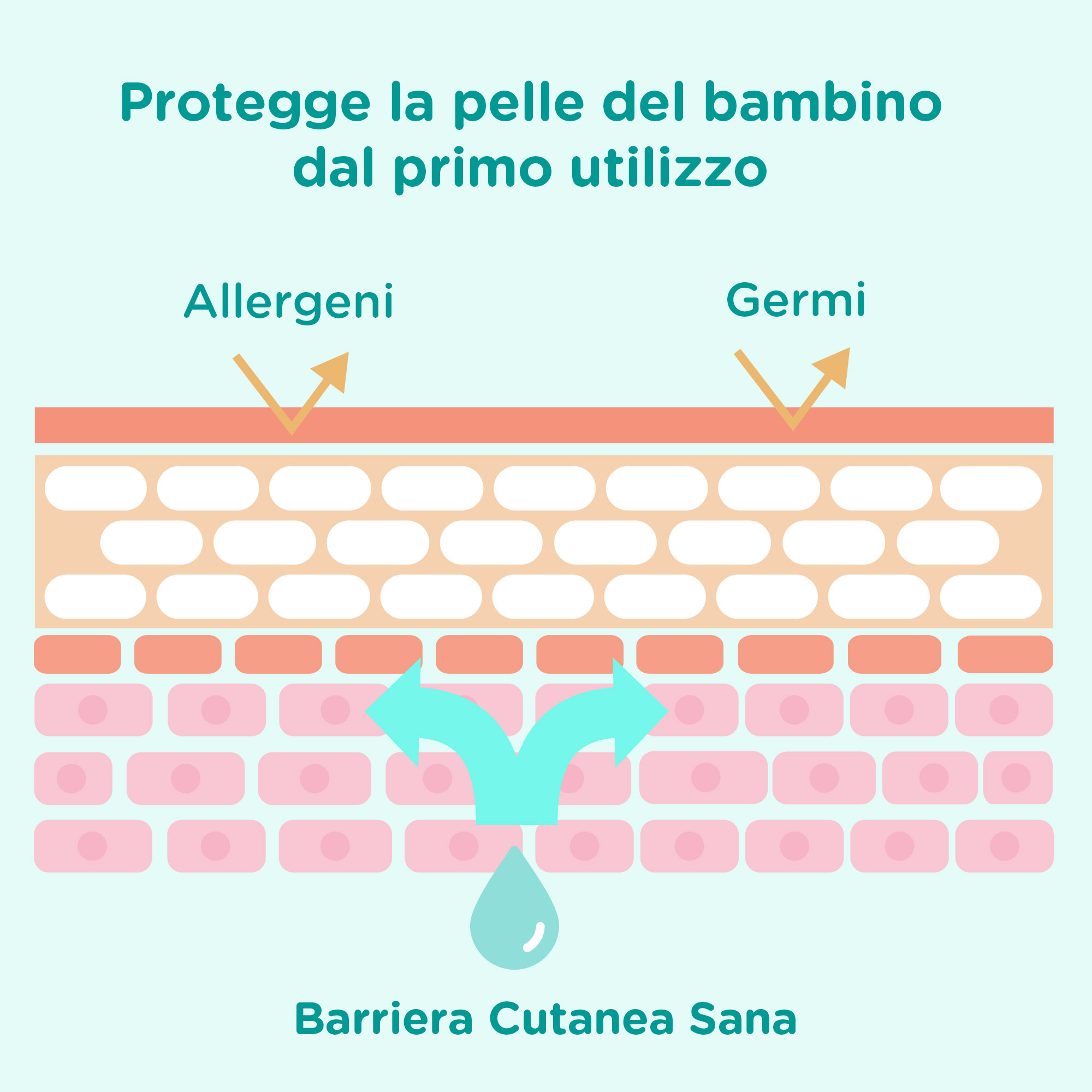 JOHNSON’S Baby, Bagnodoccia 2 in 1, Cottontouch, per Bambini e Neonati, con Vero Cotone, Senza Coloranti Solfati Alcol e Sapone, Non Più Lacrime, 300ml