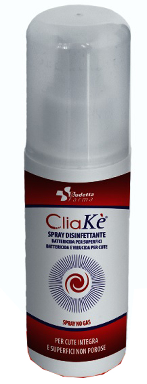 CLIAKE' SPRAY DISINF CUTE/SUPE