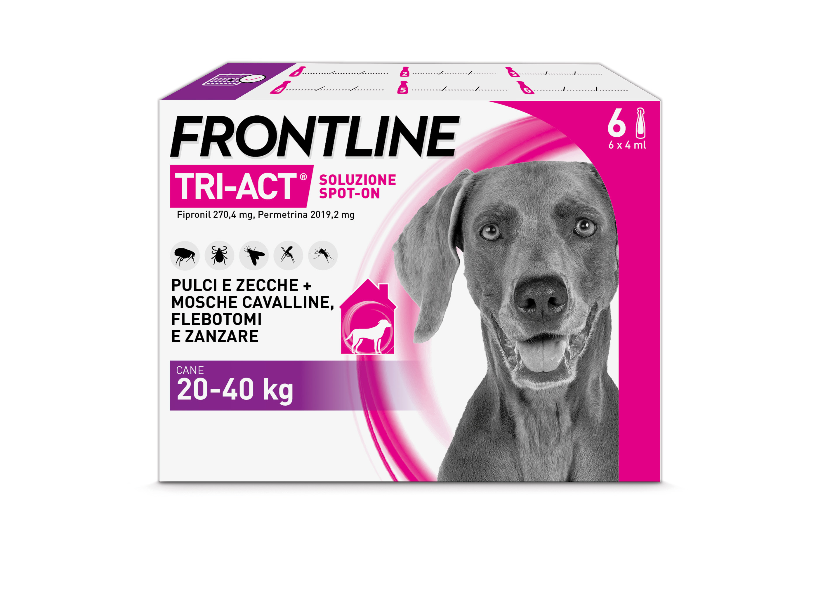 Frontline Tri Act x6 Pipette, Antiparassitario Per Cani e Cuccioli (Taglia L 20-40Kg) Contro Pulci, Zecche, Zanzare, Pappataci e Leishmaniosi