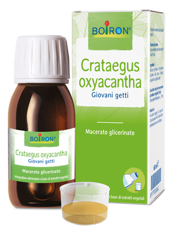 CRATAEGUS OXY MG 60ML INT