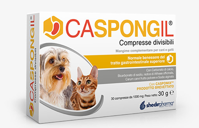 CASPONGIL 30 Cpr