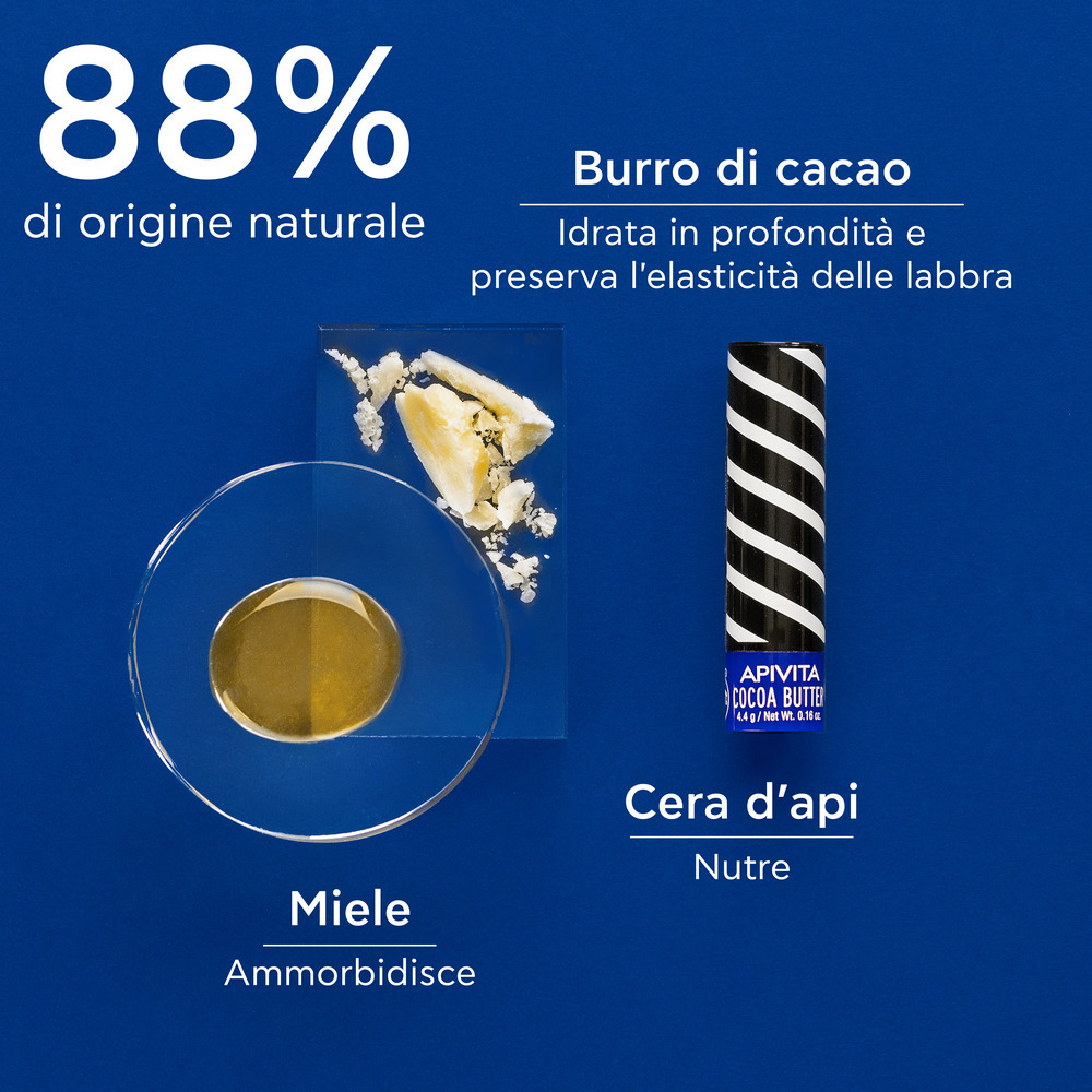 APIVITA LIPCARE COCOA BUTT/19