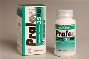PRALEN MAXI 35CPR MAST