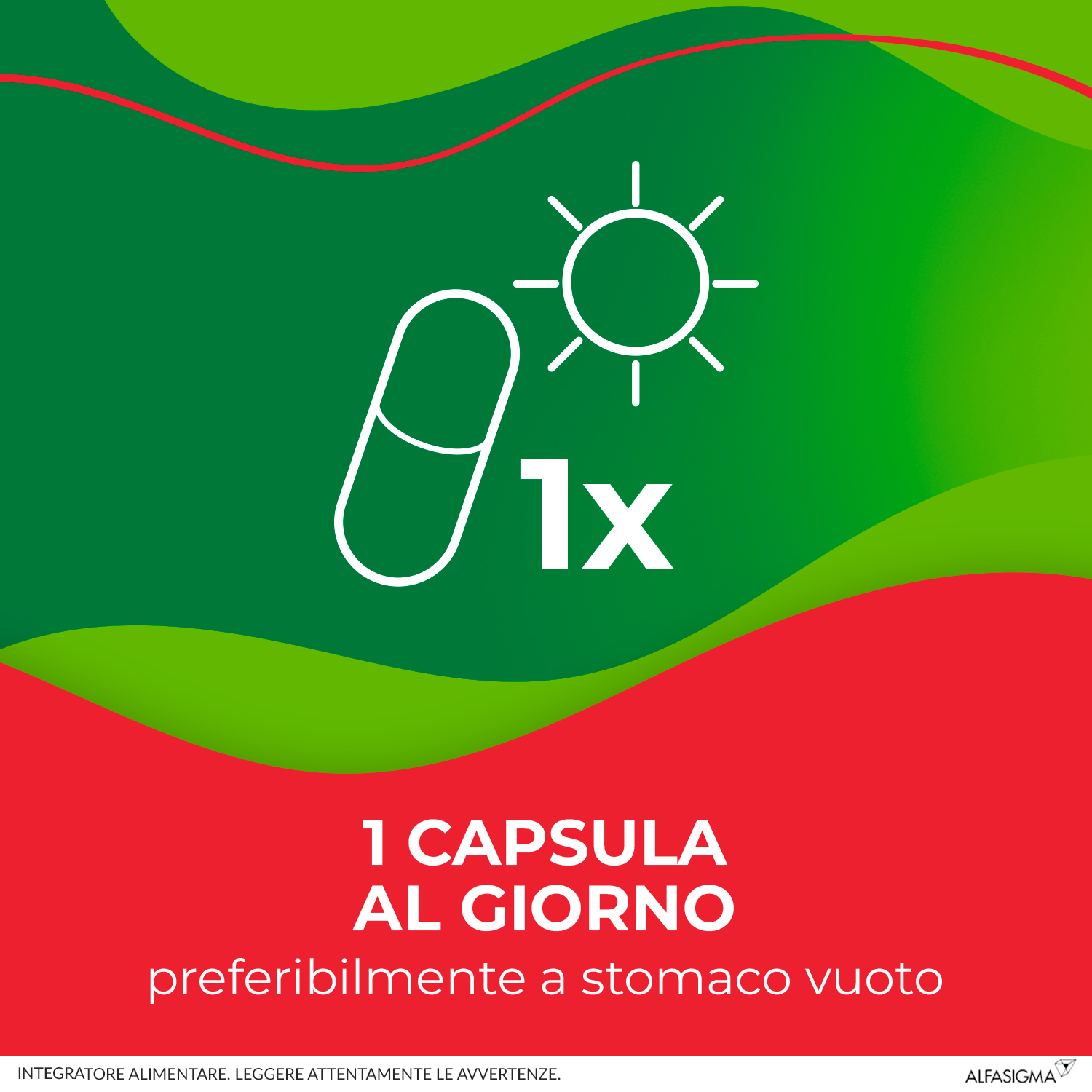 Enterolactis Plus Capsule, Integratore Alimentare con Fermenti lattici, probiotici L,Casei DG, 24 Miliardi Cellule Vive, Senza Glutine e Lattosio, 15 Capsule