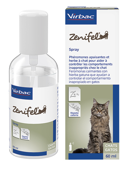 ZENIFEL Spray 60ml