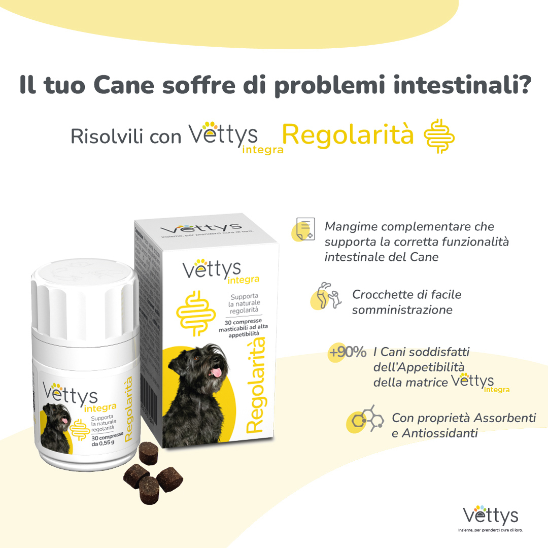 VETTYS Integra Regolar.Cane