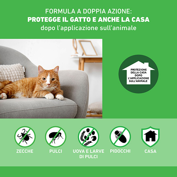 Frontline Combo Gatti x6 Pipette, Antiparassitario per Gatti, Gattini e Furetti, Contro Pulci, Zecche, Uova, Larve e Pidocchi 
