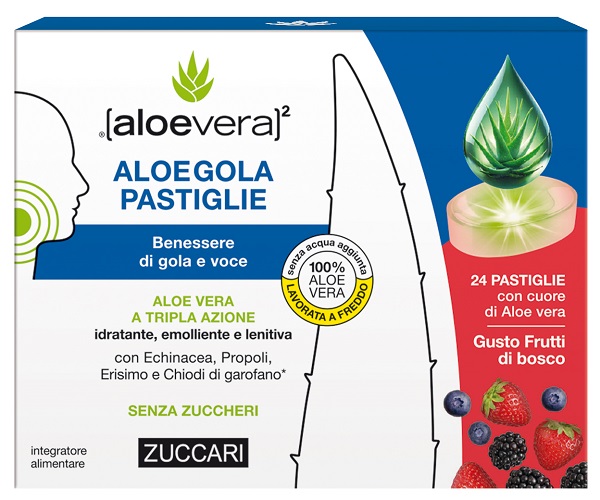 ALOEGOLA FRUTTI ROSSI 20PAST