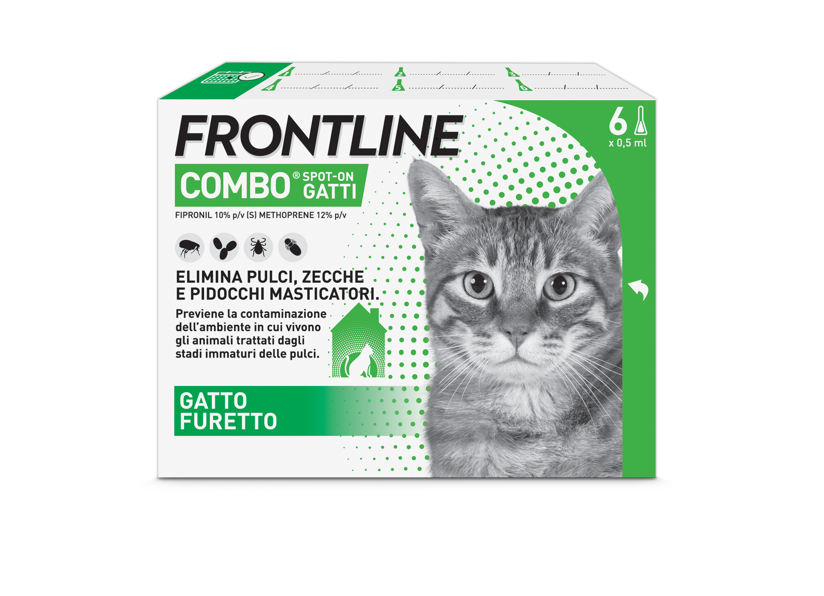 Frontline Combo Gatti x6 Pipette, Antiparassitario per Gatti, Gattini e Furetti, Contro Pulci, Zecche, Uova, Larve e Pidocchi 