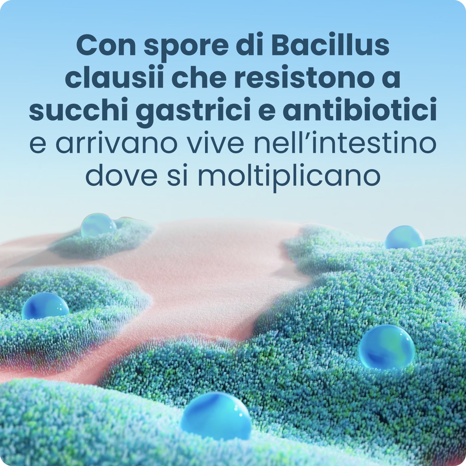 Enterogermina 4 Miliardi/5 ml Sospensione Orale - Fermenti Lattici E Probiotici Per I Disturbi Intestinali 20 Fiale