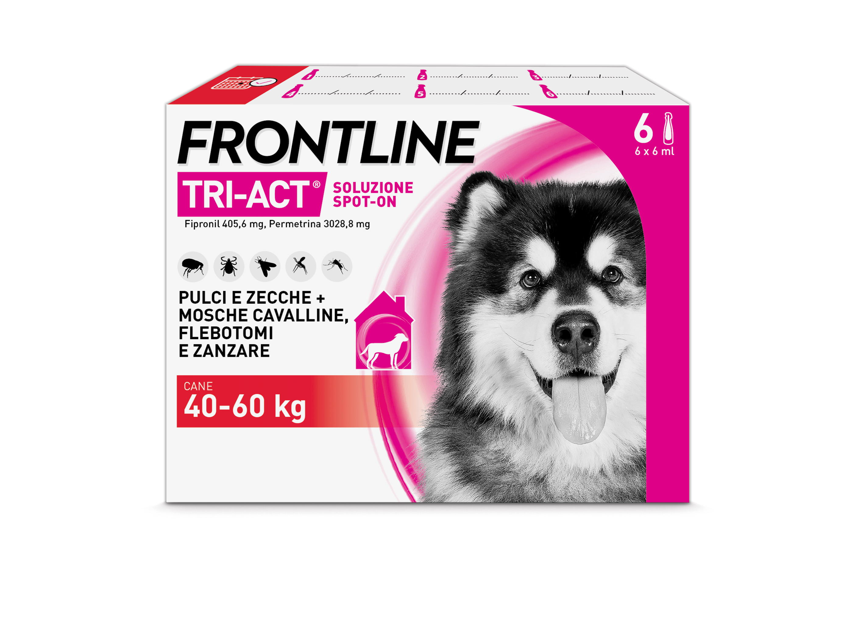Frontline Tri Act x6 Pipette, Antiparassitario Per Cani e Cuccioli (Taglia XL 40-60Kg) Contro Pulci, Zecche, Zanzare, Pappataci e Leishmaniosi