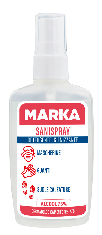 SANIGEL Sanispray 110ml