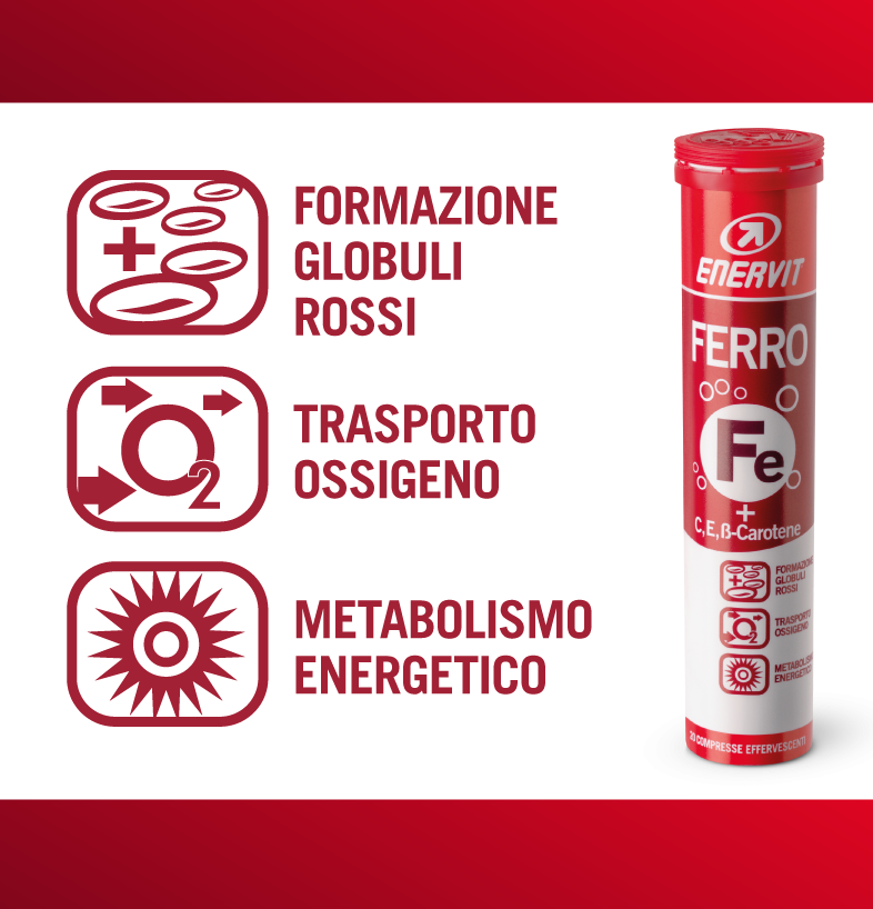 ENERVIT FERRO 20TAV
