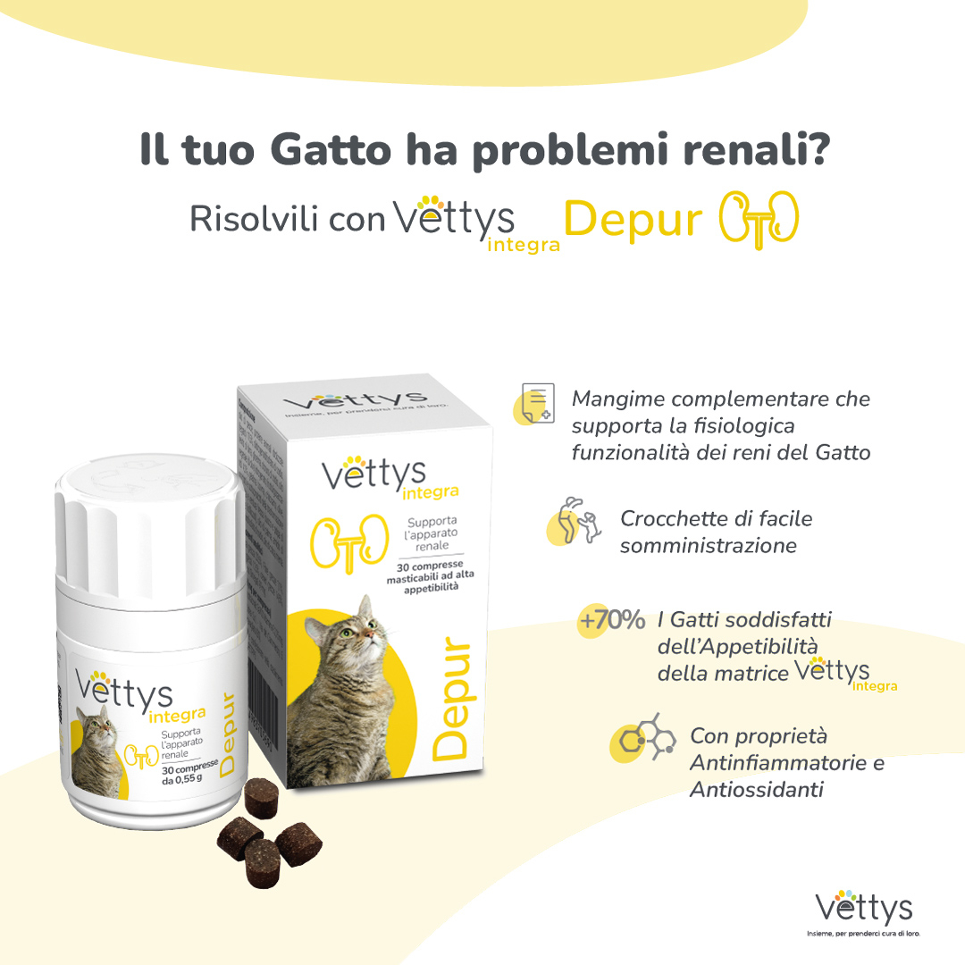 VETTYS INTEGRA DEPUR GATTO