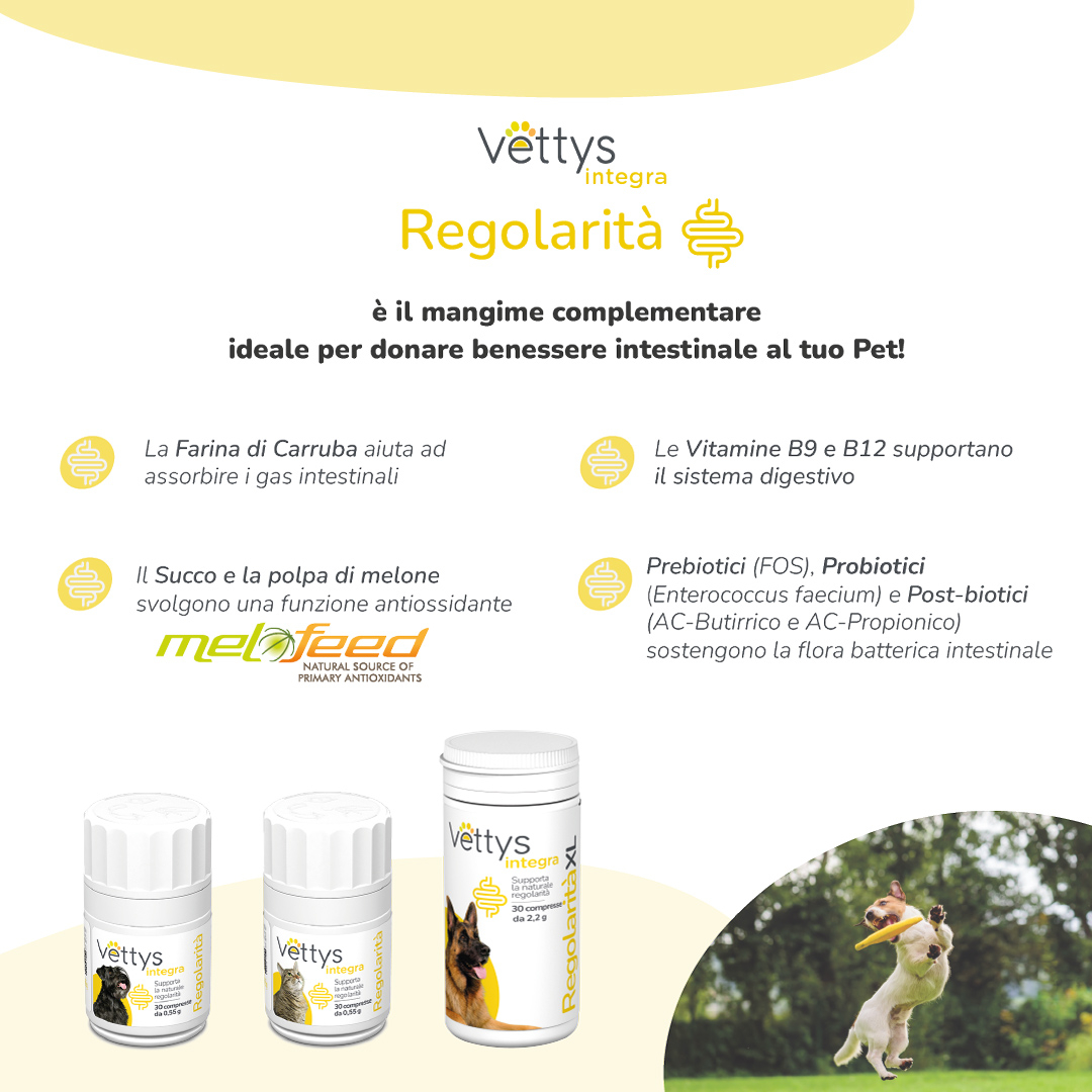 VETTYS Integra Regolar.Cane