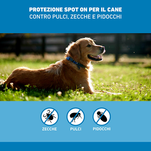 Frontline Spot On Cani x4 Pipette, Antiparassitario per Cani e Cuccioli (2-10Kg), Contro Pulci, Zecche E Pidocchi