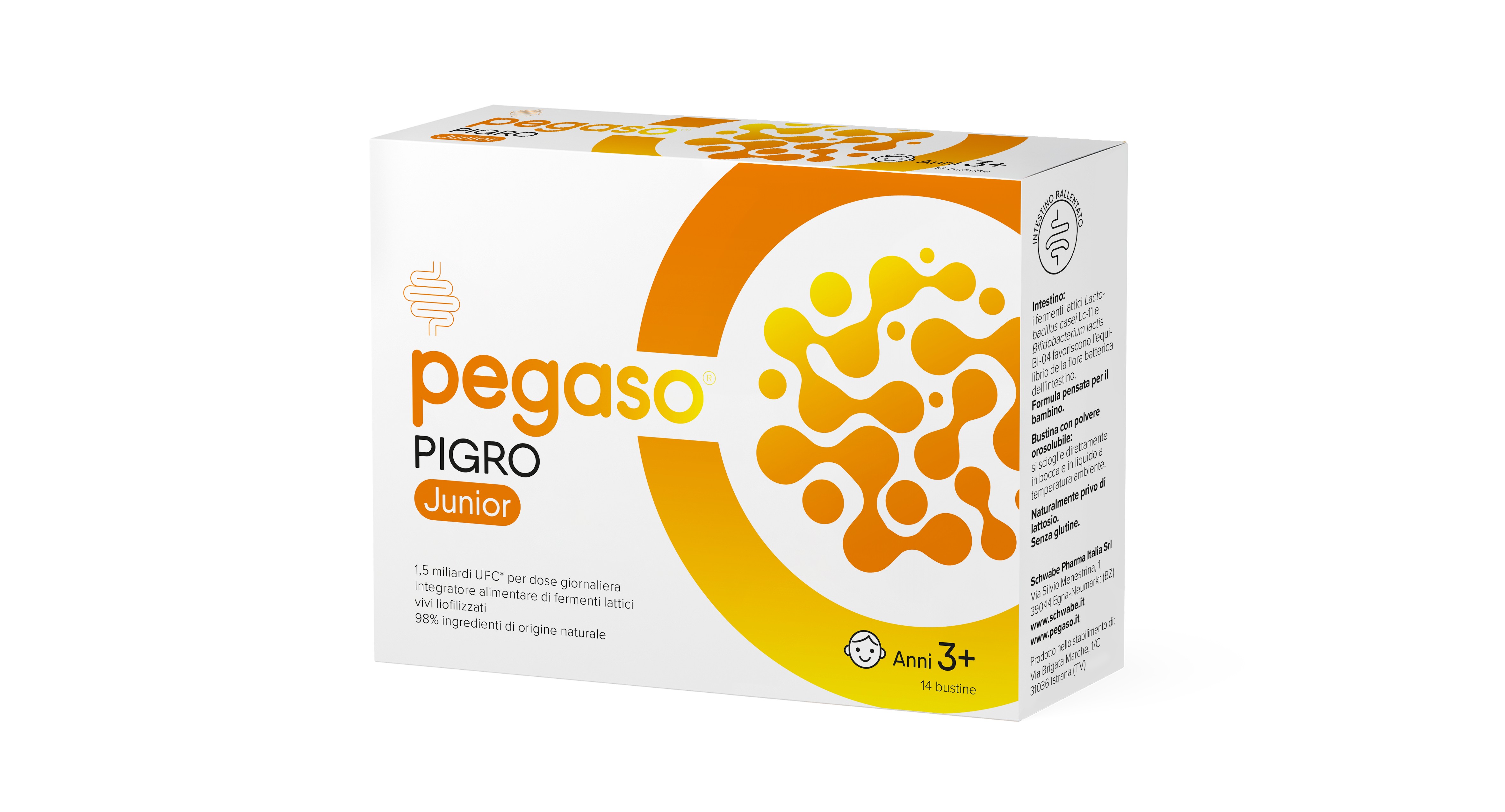 Schwabe Pharma - Pegaso Pigro Junior 14 Bustine - Integratore Di Fermenti Lattici