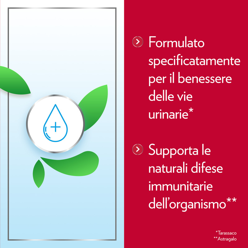 Gyno-CanesCystil Integratore Alto Dosaggio D-Mannosio per il Benessere Delle Vie Urinarie e Mantenimento della Flora Intestinale, gusto tè verde, gelsomino e agrumi, 14 bst