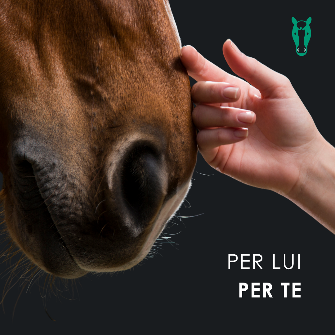 EUSPHERA EU4HORSE 50ML