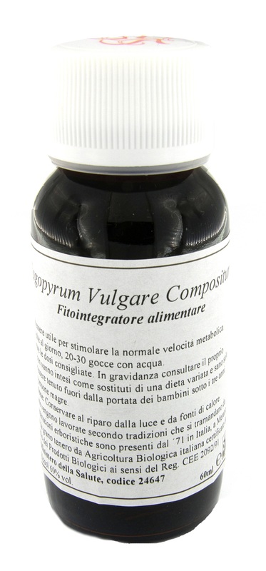 LVS 33S FAGOPYRUM VULGARE COMPOSITUM